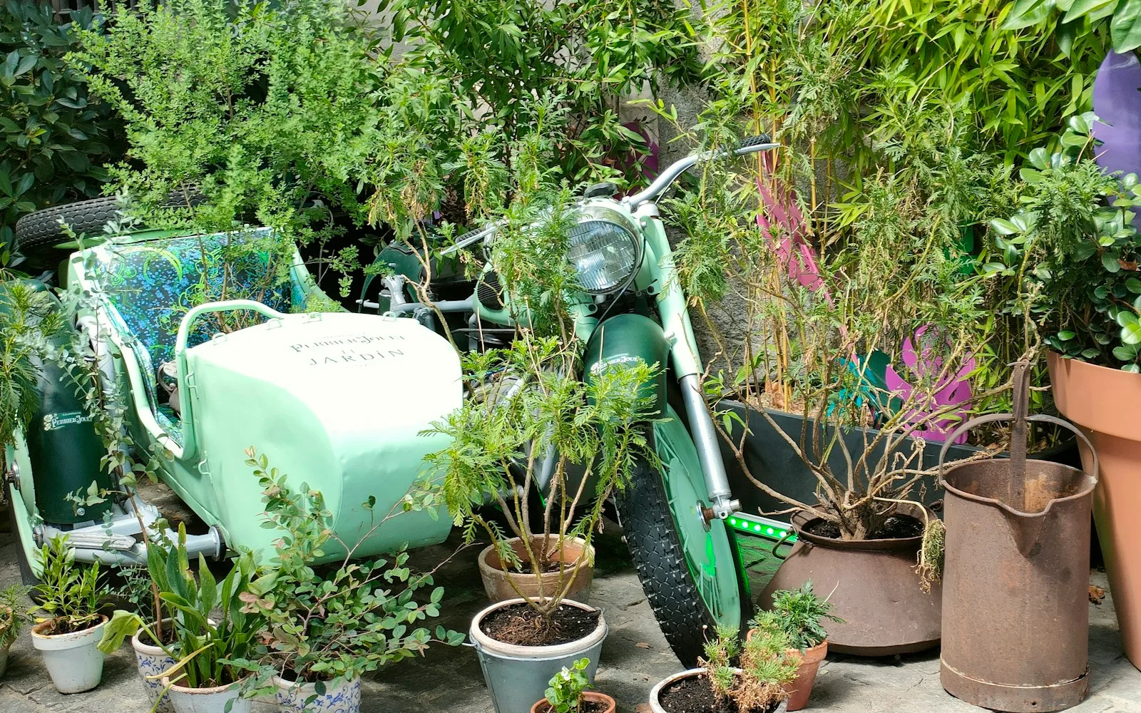 Angolo di cortile con uno scooter e numerosi vasi di piante appoggiati al muro.
