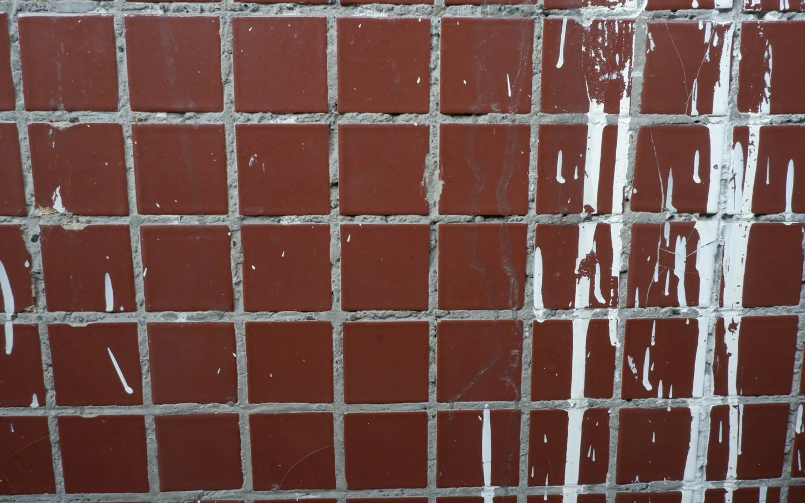 Colature chiare di sali lungo un muro esterno rivestito di piastrelle.