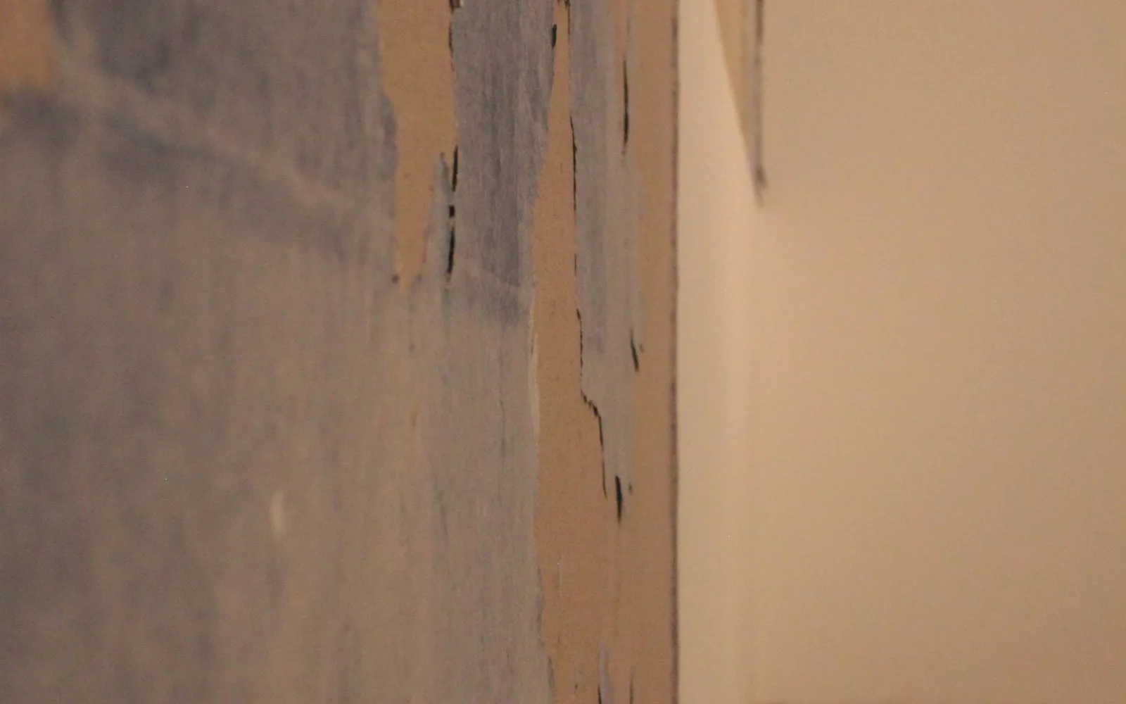 Parete interna di una stanza vuota con l'intonaco scrostato e il muro a vista.